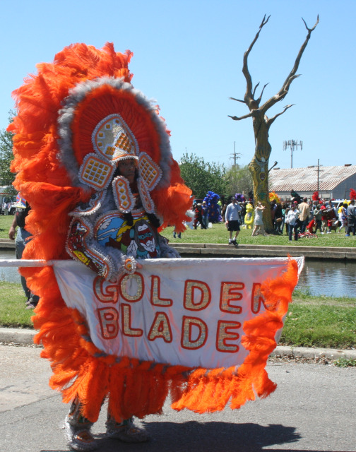 Mardi Gras 
 Indian